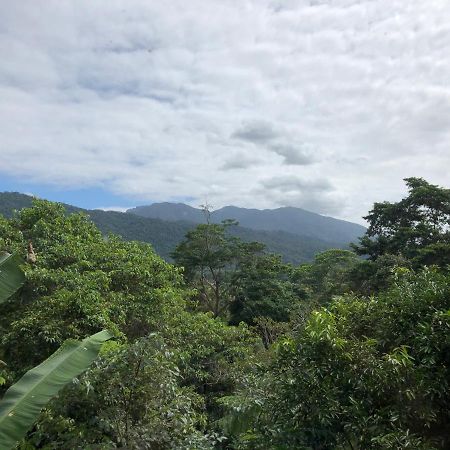 Mossman Gorge Bed And Breakfast Exterior photo