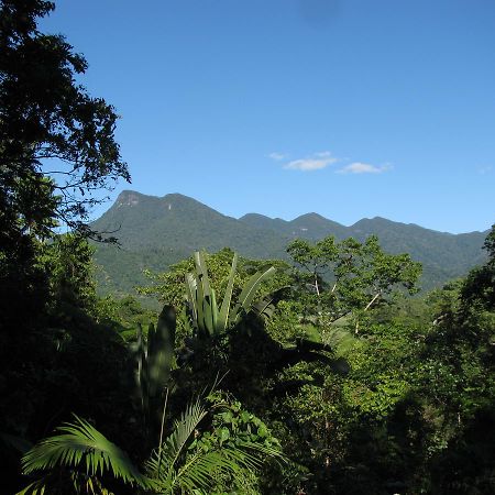 Mossman Gorge Bed And Breakfast Exterior photo