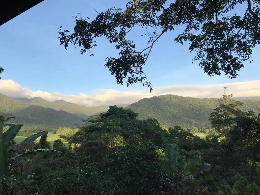 Mossman Gorge Bed And Breakfast Exterior photo