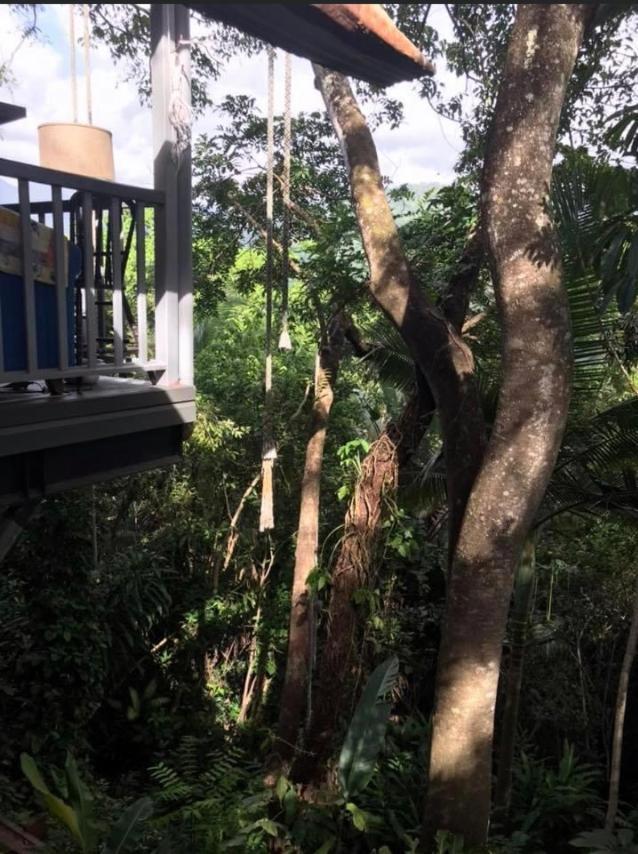 Mossman Gorge Bed And Breakfast Exterior photo