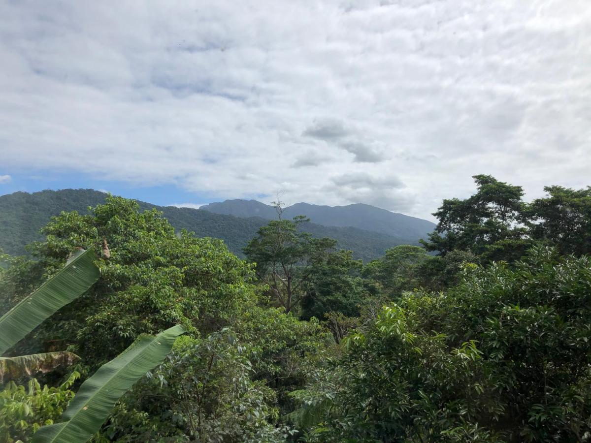 Mossman Gorge Bed And Breakfast Exterior photo