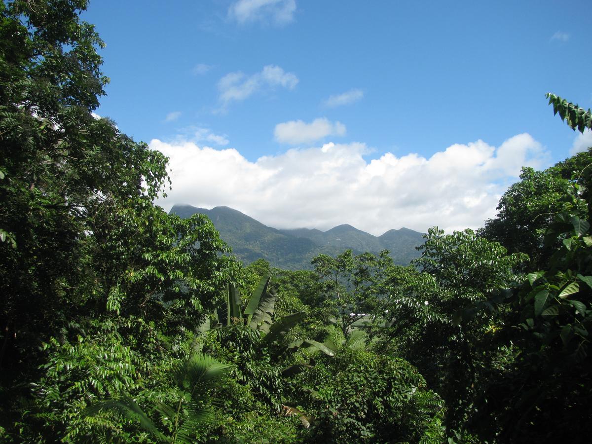 Mossman Gorge Bed And Breakfast Exterior photo