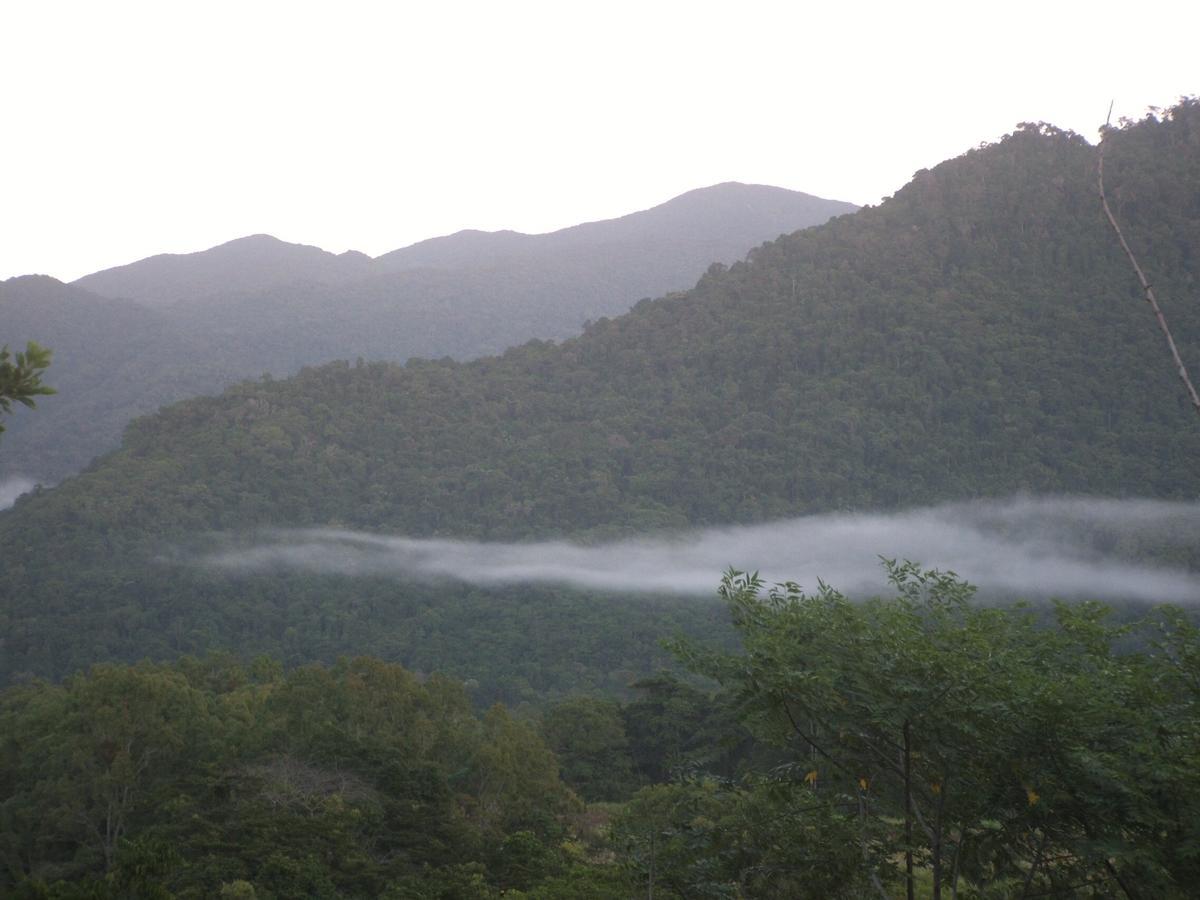 Mossman Gorge Bed And Breakfast Exterior photo