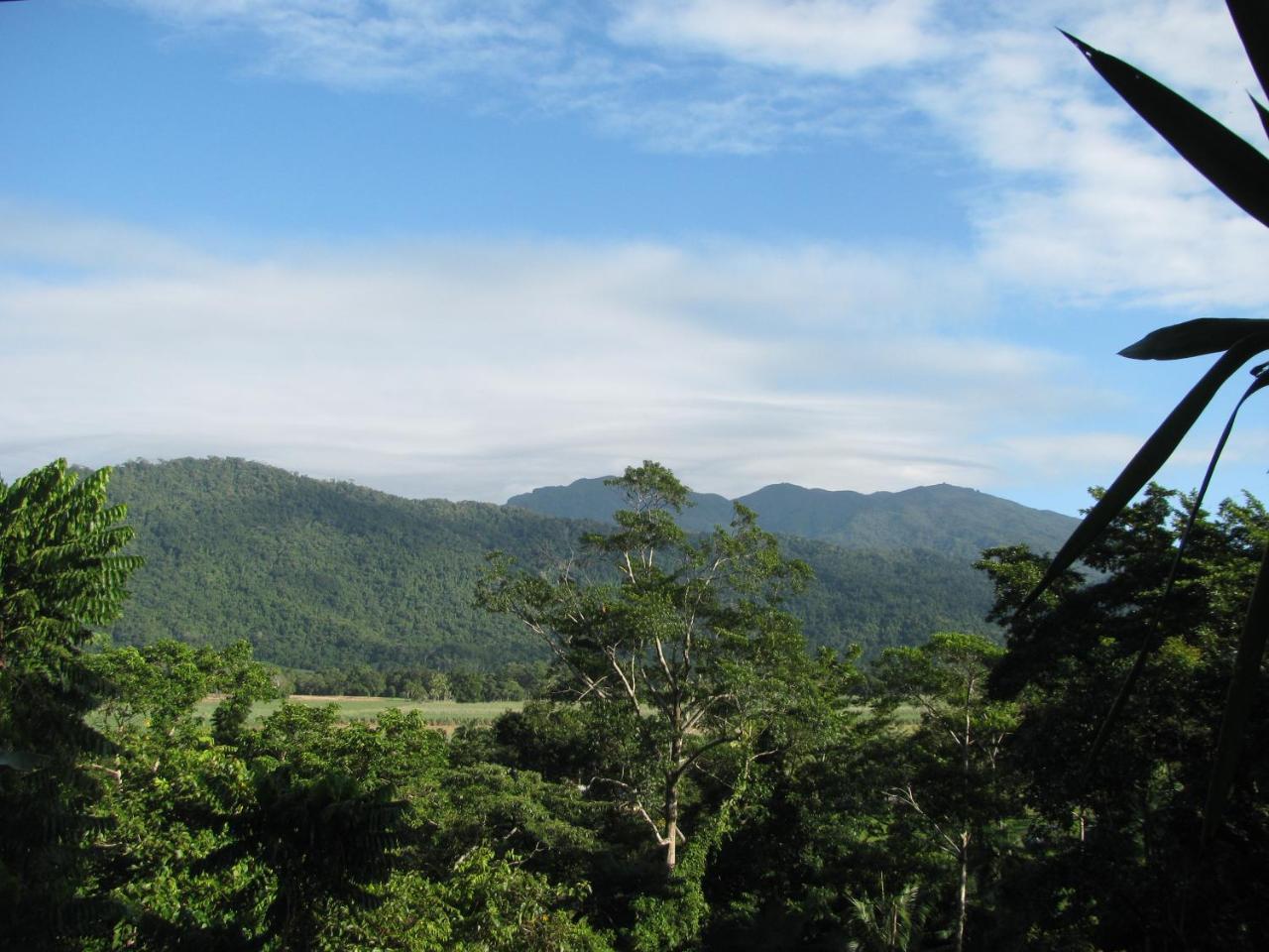 Mossman Gorge Bed And Breakfast Exterior photo