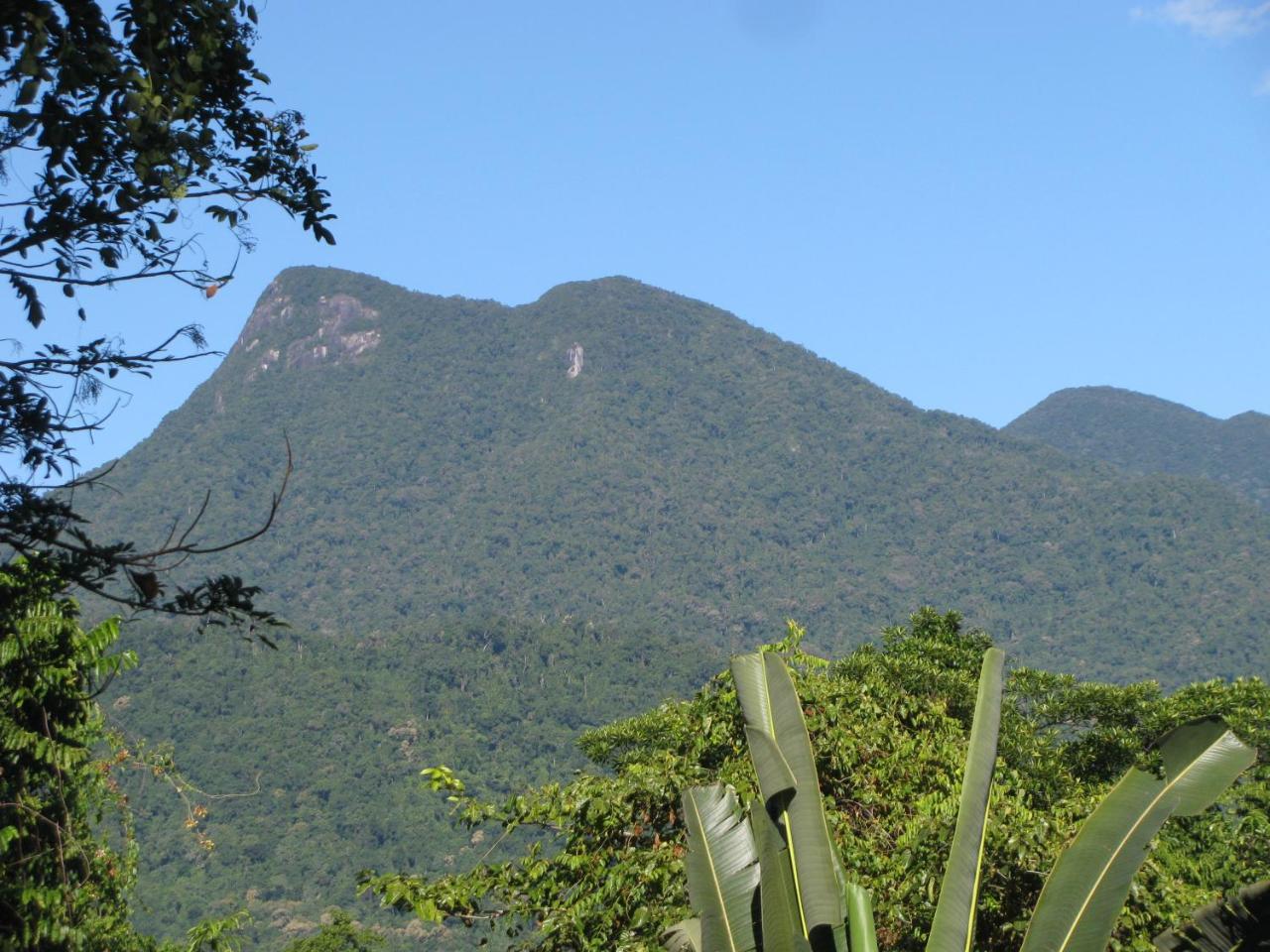 Mossman Gorge Bed And Breakfast Exterior photo