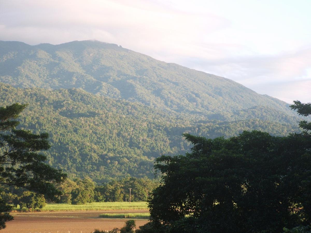 Mossman Gorge Bed And Breakfast Exterior photo