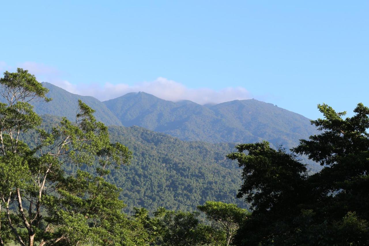 Mossman Gorge Bed And Breakfast Exterior photo
